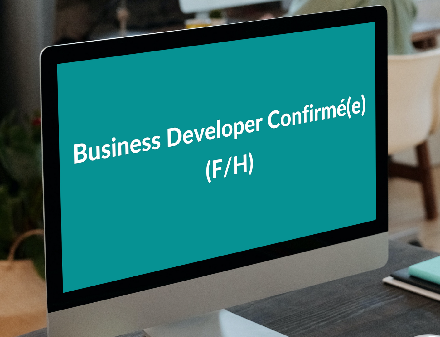 Annonce ADEOZ emploi Business developer confirmé(e) F/H